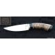 couteau a eviscerer, manche en noyer et corne noire