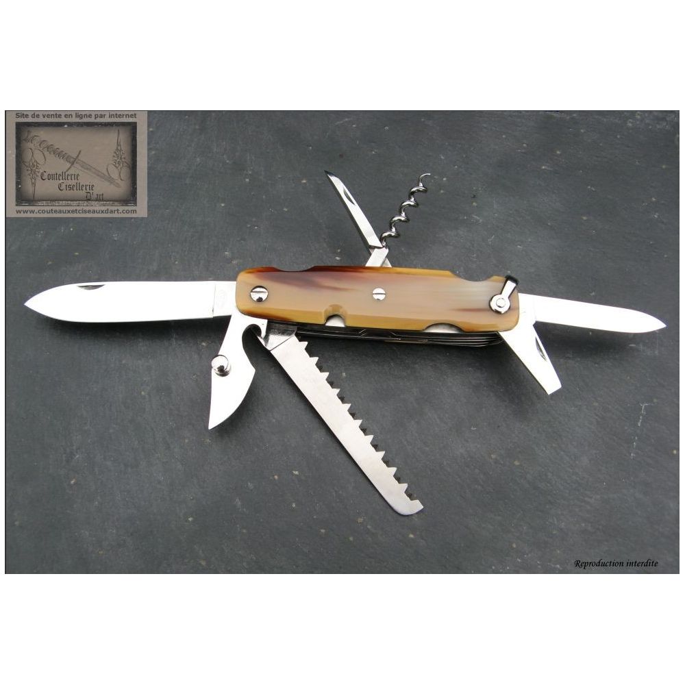 Couteau huitre Laguiole,avec sabot cale huitre et coffret bois - Couteaux  et Ciseaux d'Art