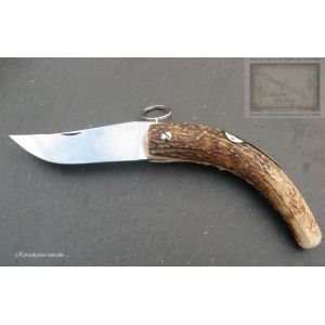 Cornillon Mongin 12 cm, manche en bois de cerf, couteau Mongin