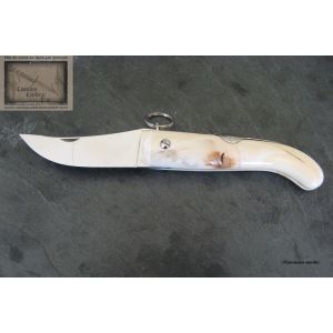 Cornillon Mongin 10 cm, manche en ivoire de phacochère brut poli