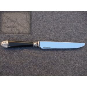 couteau de table,couteau modele Anglais 1 manche baguette avec garniture