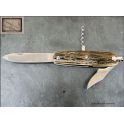 Canif Mongin 10cm en Mammouth lame damas